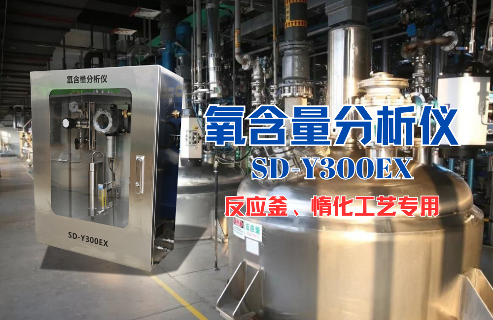 氧含量分析儀精確監(jiān)測(cè)：保障反應(yīng)釜安全與工藝穩(wěn)定的核心舉措.png